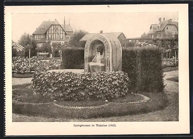 AK Berlin-Dahlem, Lehr- und Forschungsanstalt für Gartenbau, Springbrunnen im Rosarium