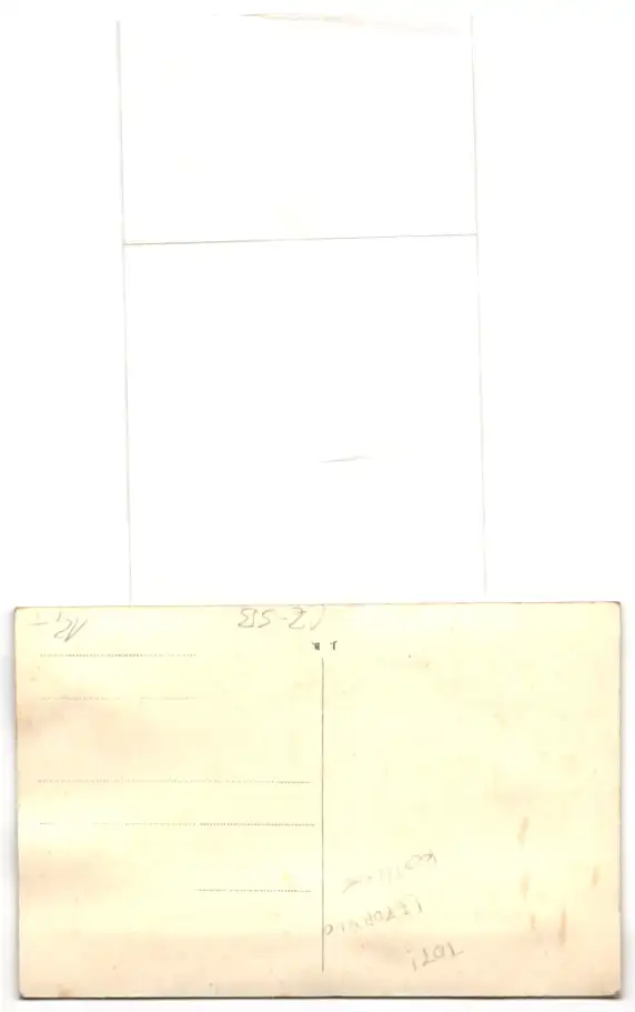 Leporello-AK Jindr. Hradec, Gymnasium, Rotunda, Nezarka, Zamek