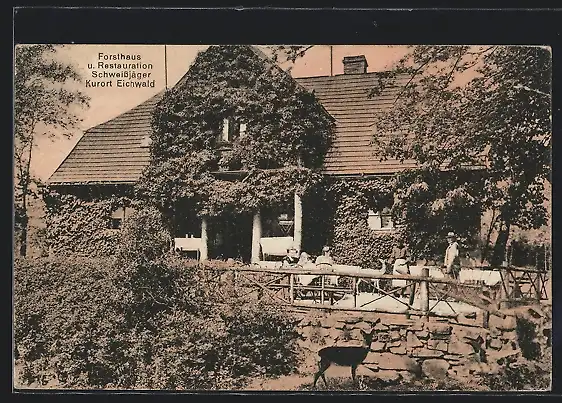 AK Eichwald, Forsthaus & Restauration Schweissjäger