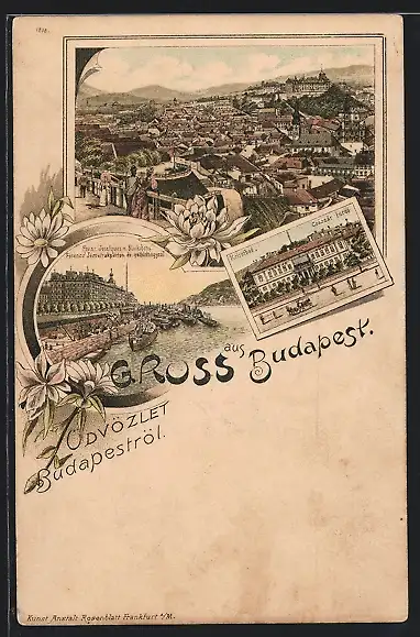Lithographie Budapest, Totalansicht, Kaiserbad, Franz Josef-Quai & Blocksberg