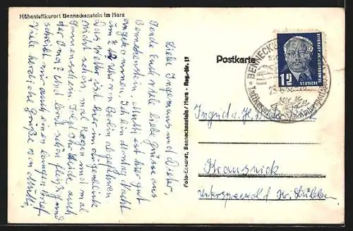 AK Benneckenstein im Harz, Strassenpartie mit Rinderherde