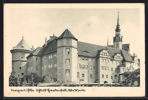 AK Torgau /Elbe, Schloss Hartenfels, Westseite