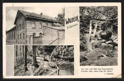 AK Waldeck i. Thür., Gasthaus zum alten Schloss, Waldpartien