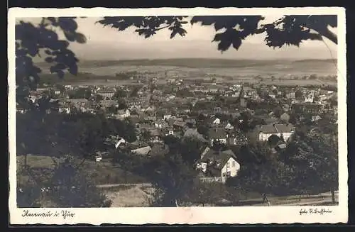 AK Ilmenau i. Thür., Teilansicht mit Bäumen