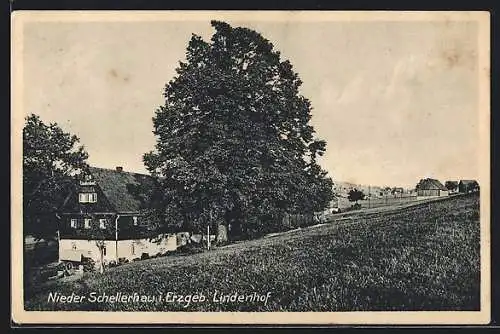 AK Nieder-Schellerhau i. Erzgeb., Lindenhof