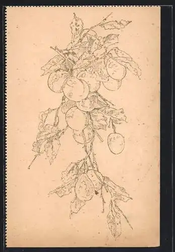 Ausmal-AK Zweig voller Beeren