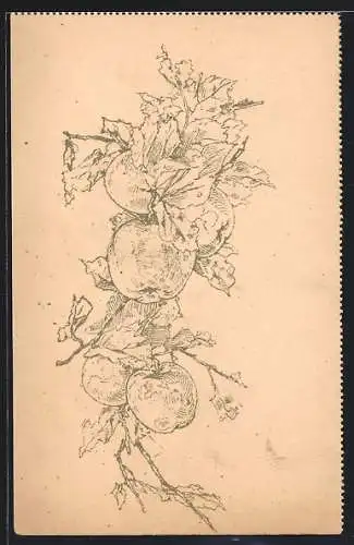 Ausmal-AK Ast mit hängenden Äpfeln