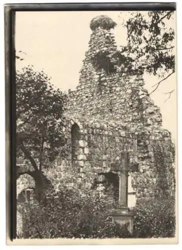 Fotografie W. Apel, Berlin, Ansicht Lychen-Retzow, Kirchenruine