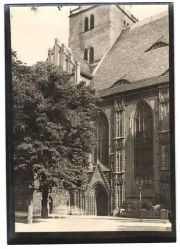 Fotografie W. Apel, Berlin, Ansicht Brandenburg / Havel, Kirche St. Katharinen
