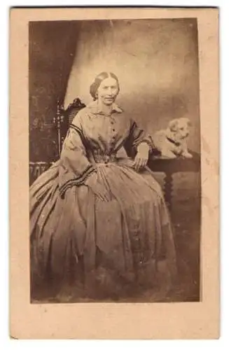 Fotografie unbekannter Fotograf und Ort, Dame im Reifrockkleid mit ihrem Hund auf dem Tisch, frühes Foto