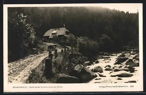 AK Rejstejn, Partie u Turnerovy chaty na Vydre