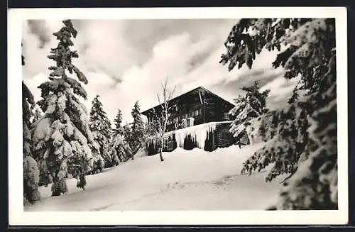 AK Schutzhaus KTT, Berghütte im Schnee am Kahlenberg