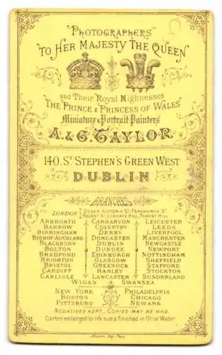 Fotografie A. & G. Taylor, Dublin, 140, St. Stephen`s Green West, Bürgerlicher Herr mit Vollbart