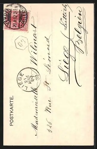 AK Verden a. d. Aller, Promenade mit Kindern