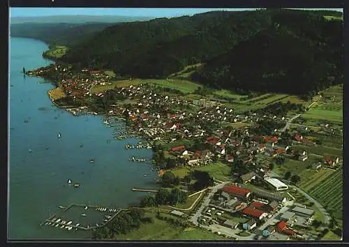 AK Bodman / Bodensee, Totalansicht, Luftbild
