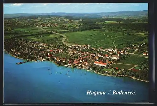 AK Hagnau / Bodensee, Gesamtansicht, Luftbild