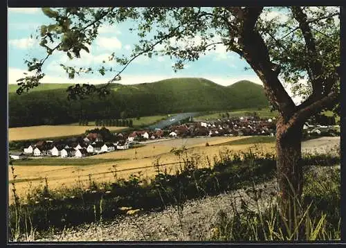 AK Heinsen / Weser, Panoramablick auf den Ort