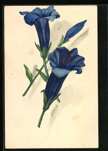 Künstler-AK Handgemalt: Blaue Glockenblumen