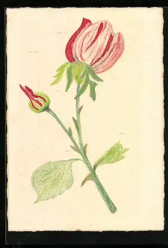 Künstler-AK Handgemalt: Rote Tulpe mit Knospe