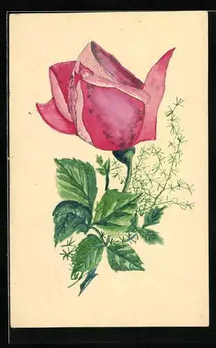 Künstler-AK Handgemalt: Rosafarbene Tulpe, Ganzsache