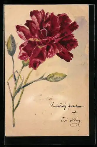Künstler-AK Handgemalt: Rote Nelke mit Knospen