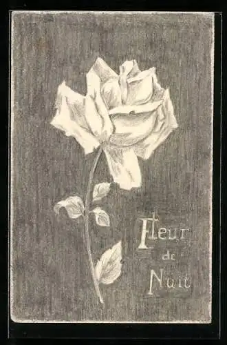 Künstler-AK Handgemalt: Fleur de Nuit, Rose am Stiel