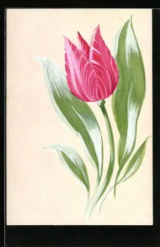 Künstler-AK Handgemalt: rote Tulpe