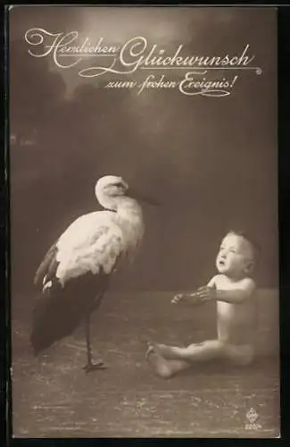 AK Storch und Baby, Glückwünsche zum Geburtstag
