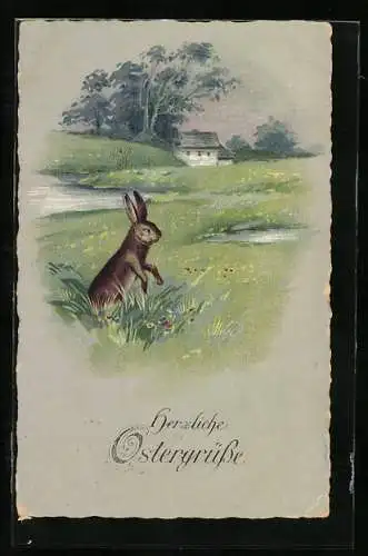 AK Osterhase auf weiter Flur