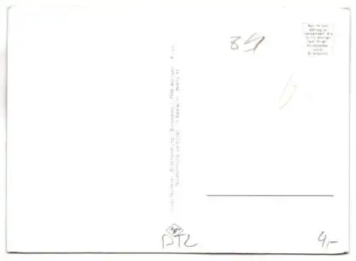 AK Wangen im Allgäu, Ortspartien mit Rathaus, Trockenblume: echtes Edelweiss