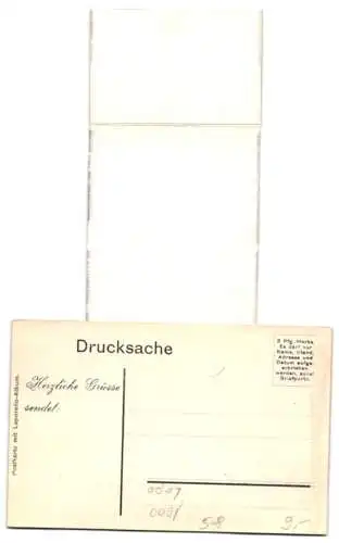 Leporello-AK Berlin, Brandenburger Tor, Unter den Linden, Blick auf den Dom vom Rathausturm, Königl. Schloss