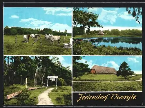 AK Molbergen-Dwergte, Feriendorf Dwergte, Eingangsschild, Bauernhaus