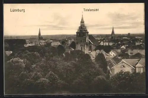 AK Lüneburg, Totalansicht aus der Vogelschau