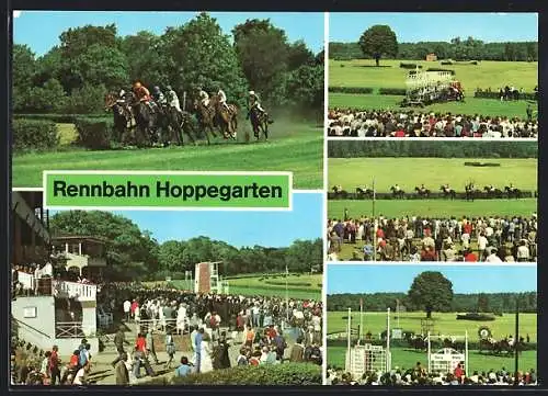 AK Hoppegarten, VEB Vollblutrennbahnen