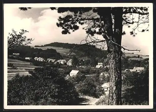 AK Schönau / Thür. Wald, Blick auf den Ort