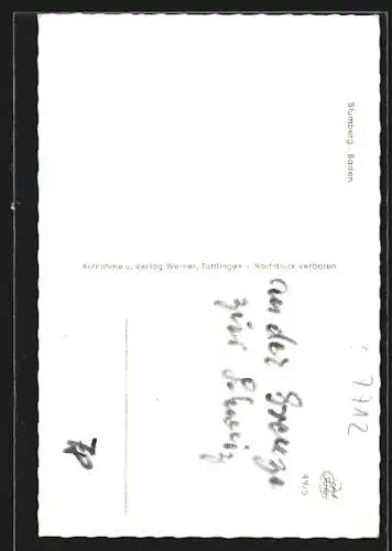 AK Blumberg /Baden, Ortsansicht hinter Bäumen