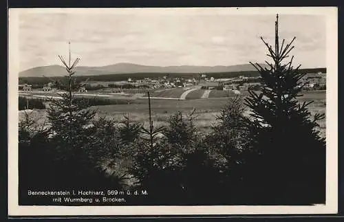 AK Benneckenstein /Harz, Ortsansicht aus der Ferne