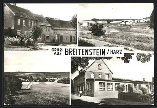 AK Breitenstein / Harz, Strassenpartie, Teilansicht, Panoramaansicht