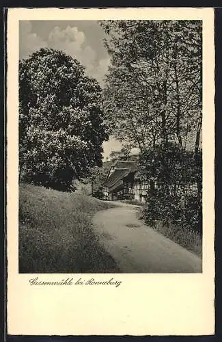 AK Ronneburg / Thüringen, Strassenpartie an der Gessenmühle