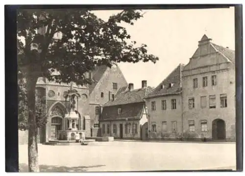 Fotografie W. Apel, Berlin, Ansicht Brandenburg / Havel, Marktplatz mit Kirche & Brunnen