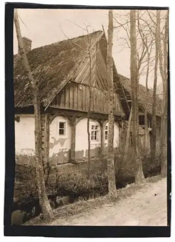 Fotografie W. Apel, Berlin, Ansicht Döbbrick, Bauernhaus mit Reetdach neben Bachlauf