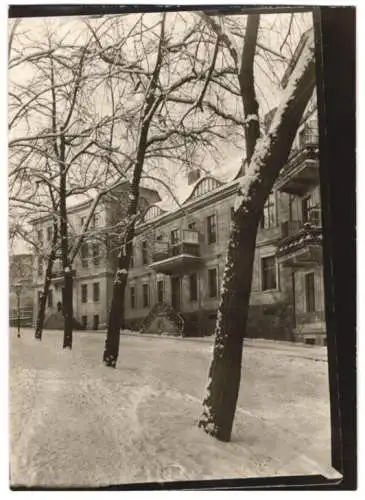 Fotografie W. Apel, Berlin, Ansicht Frankfurt / Oder, Stadthäuser / Wohnhäuser im Winter mit verschneiter Strasse