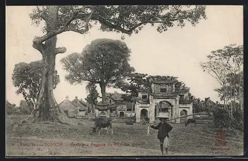 AK Sontay, Pagode de Phu-Xa