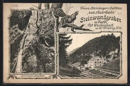 AK Weissenbach an der Triesting, Franz Steinberger`s Gasthaus zum Auerhahn, Steinwandklamm
