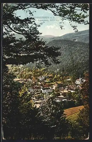 AK Weissenbach an der Triesting, Teilansicht mit Schneeberg