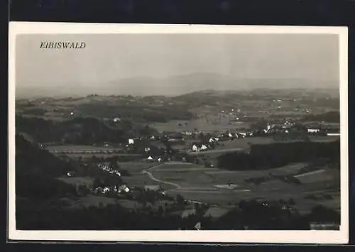 AK Eibiswald, Gesamtansicht mit Umgebung und Fernblick