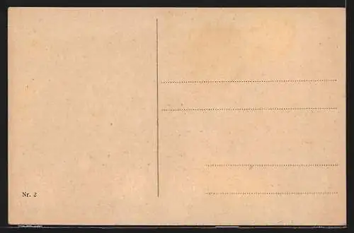 AK Melk a. D., Ortspartie mit Blick auf das Stift