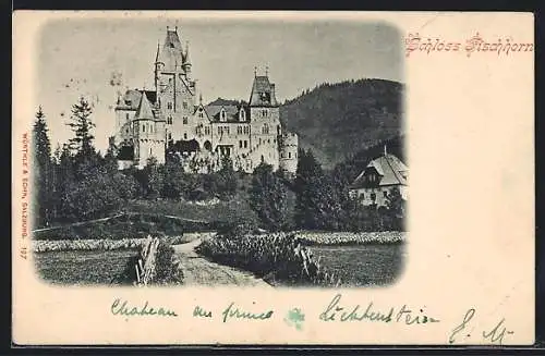 AK Bruck an der Grossglocknerstrasse, Schloss Fischhorn im Sonnenschein