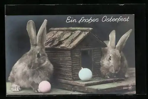 AK Osterhasen nebst kleiner Hütte