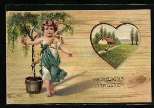 AK Engel vor Birke im Topf